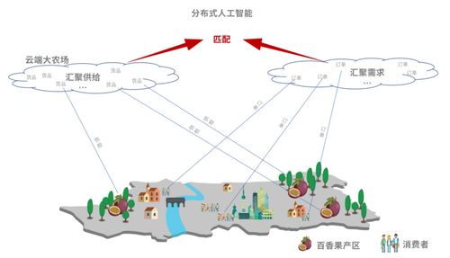 阿里拼多多得大奖,电商如何成就扶贫新变量